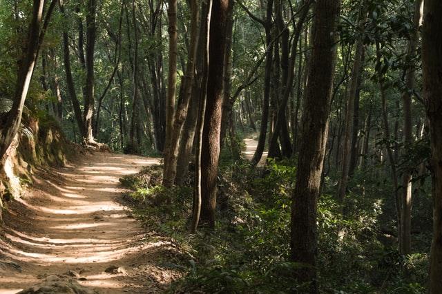 Shivapuri Hiking Trail 1