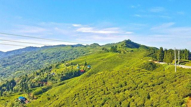 Kanyam Illam Heavenhimalaya
